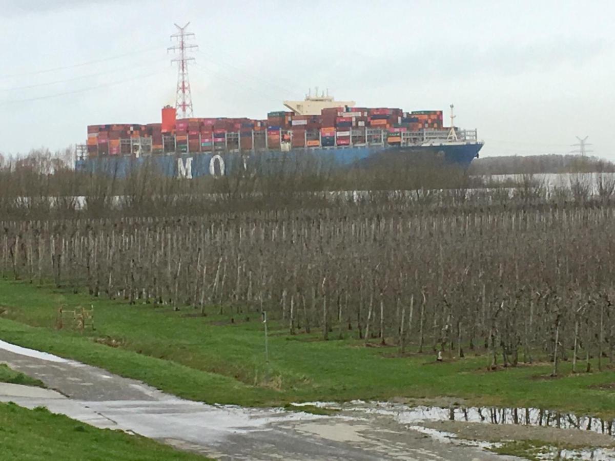 Wohnen Im Alten Land Grünendeich Zewnętrze zdjęcie